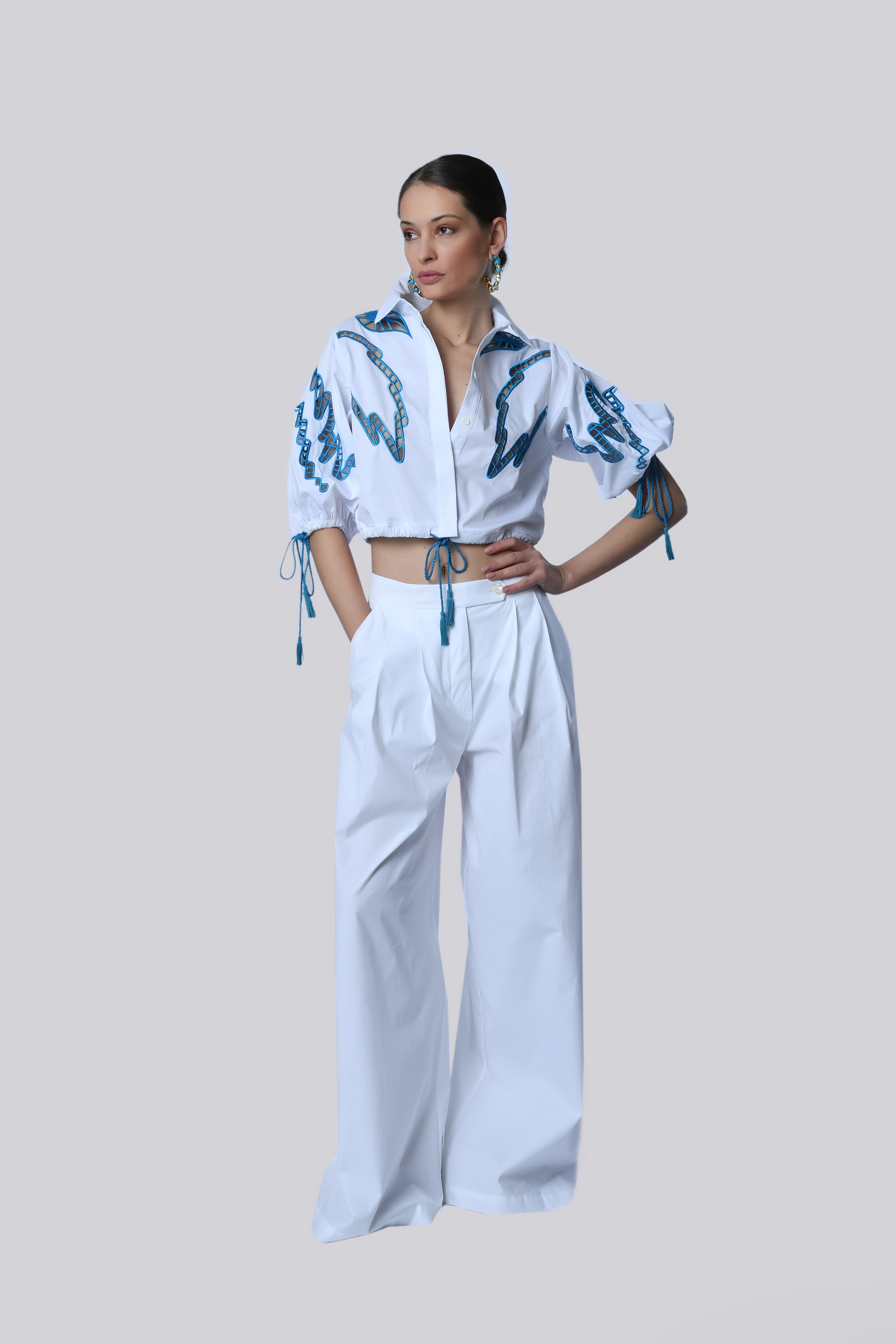 Embroidered White and Blue Crop Blouse